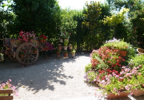 description